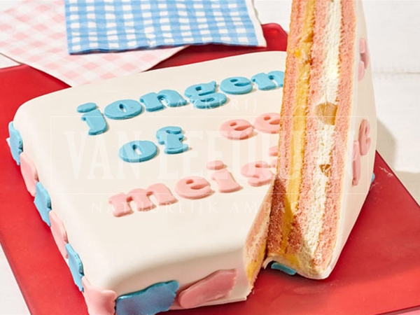 Gender taart roze 20 pers. Vierk.